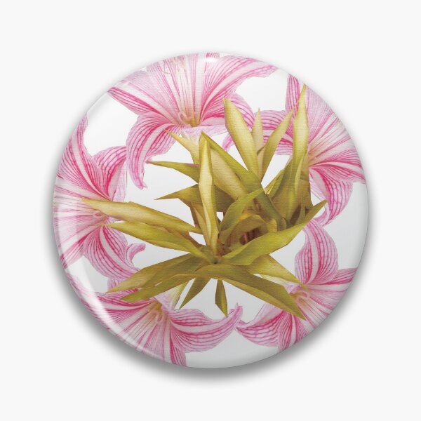 Item preview, Believing designed and sold by Thecla Mary Correya.