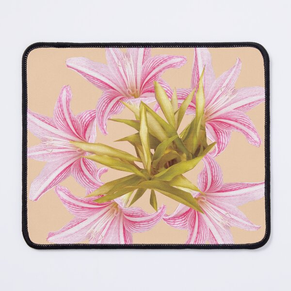 Item preview, Believing designed and sold by Thecla Mary Correya.