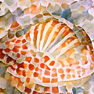 Artwork thumbnail, Abstract Seashell Pattern by Arkneer