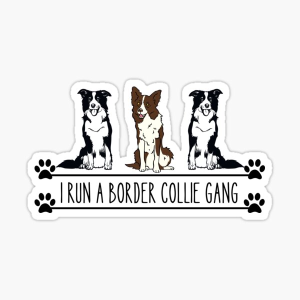 I run a Border Collie gang, woof gang Sticker