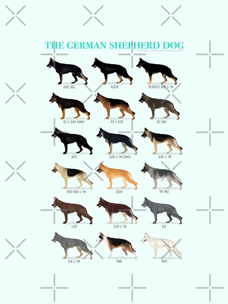 Gsd coat shop types