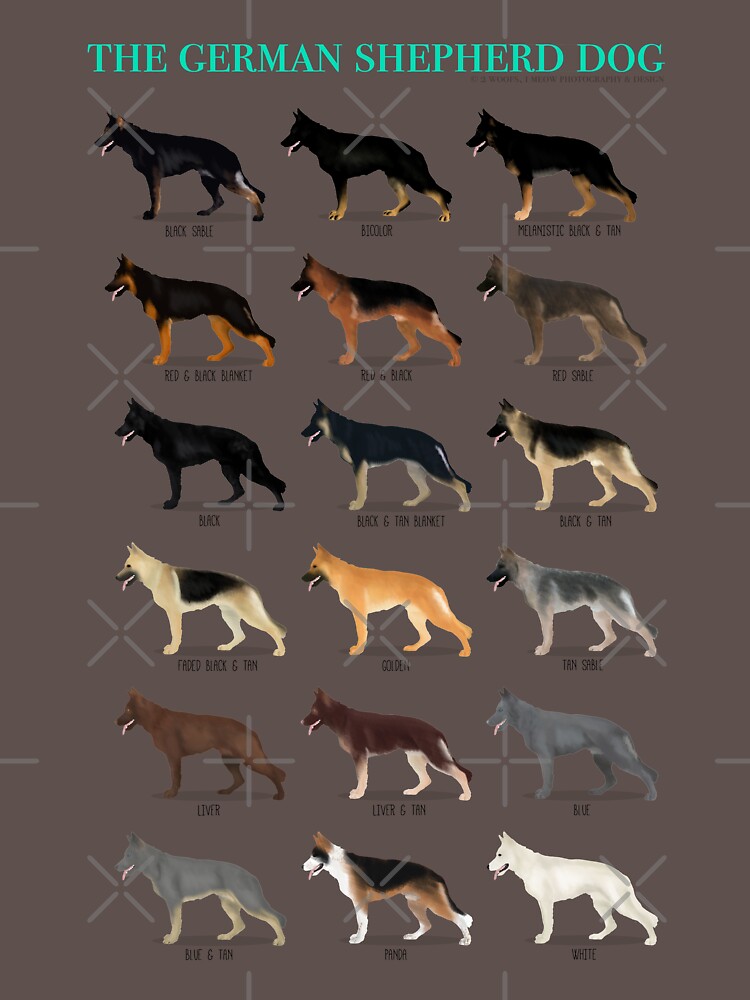 "German Shepherd Coat Colors" Tshirt for Sale by 2woofs1meow