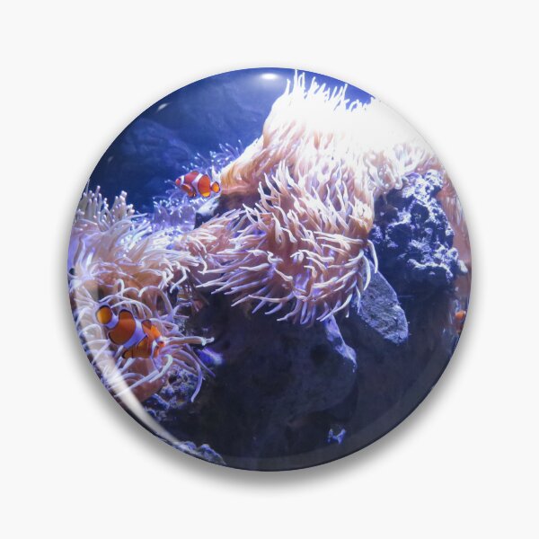 Item preview, Clown fish and sea anemone designed and sold by greentiger1.