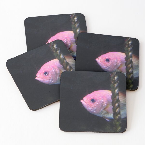 Item preview, Lovely pink fish designed and sold by greentiger1.