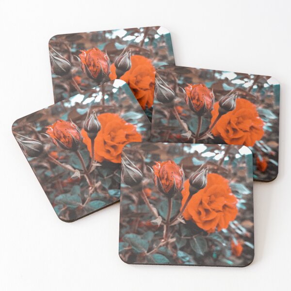 Item preview, Roses trough filter designed and sold by dzekiphoto.