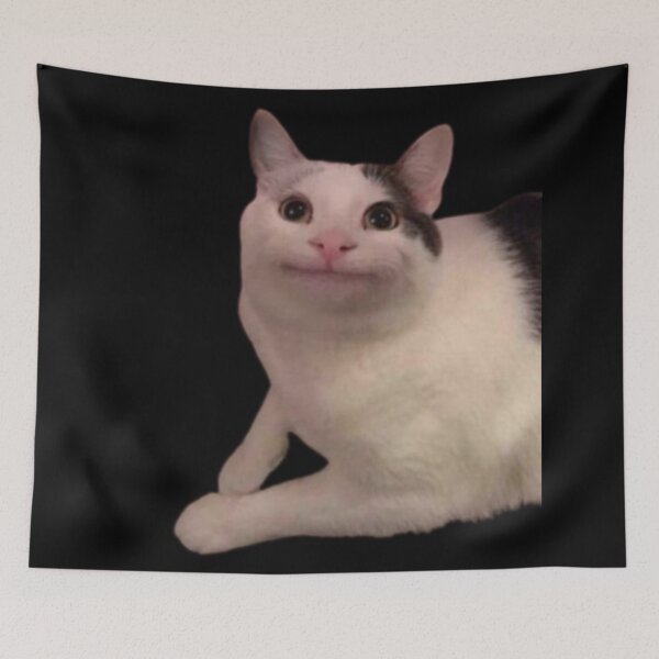 Item preview, Meme cat funny face designed and sold by Kawabijutsu21.