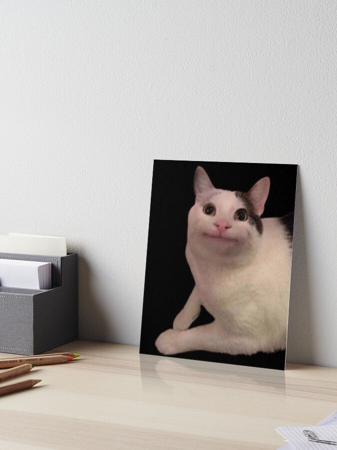 Meme cat funny face | Art Board Print