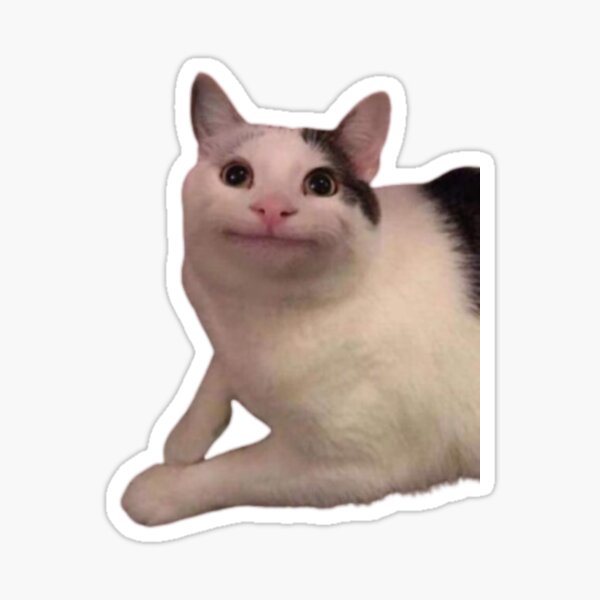 ArtStation - Beluga The Meme Cat Emotes