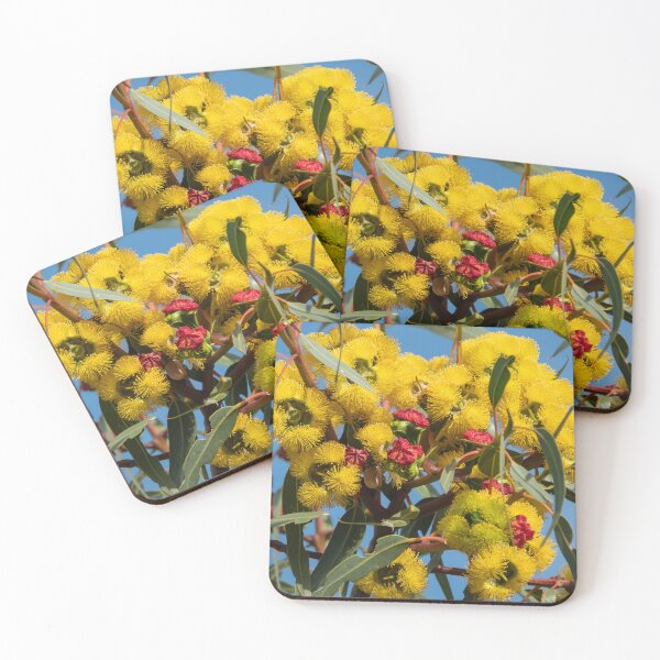 Item preview, Bright & Beautiful Illyarrie designed and sold by SallyB.Photography.