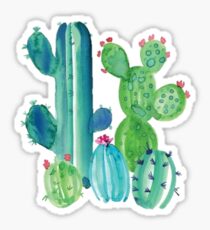 Pegatina Cactus de colores brillantes