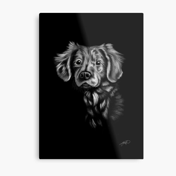 Dog in white pencil Metal Print
