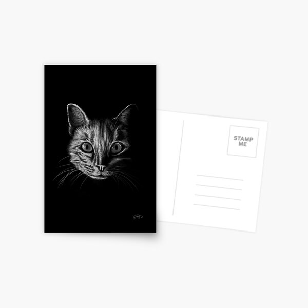 Cat in white pencil Postcard
