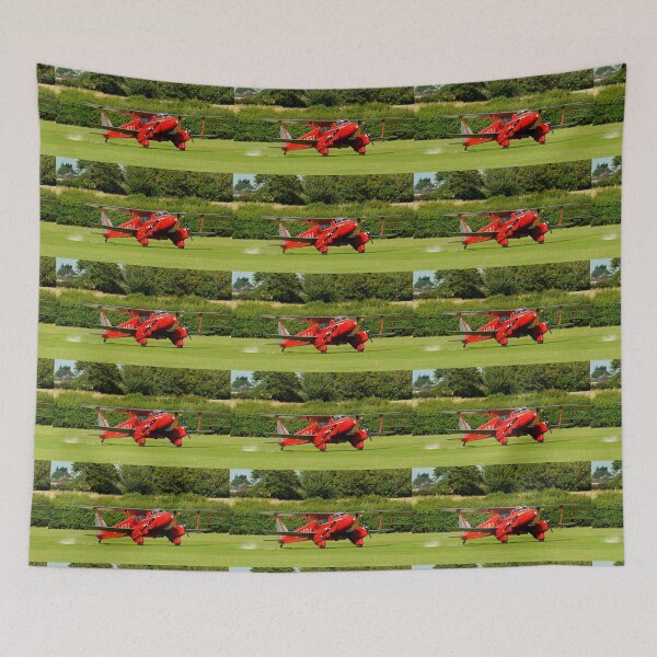 Item preview, Dragonfly Touchdown designed and sold by David JC.