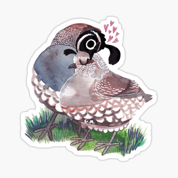 Item preview, California Quail Couple designed and sold by ProfessorBees.