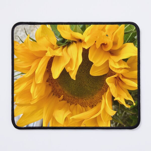 Item preview, Solitary Sunflower Uk. AngelaHaigHarrison. designed and sold by Angela Haig-Harrison.