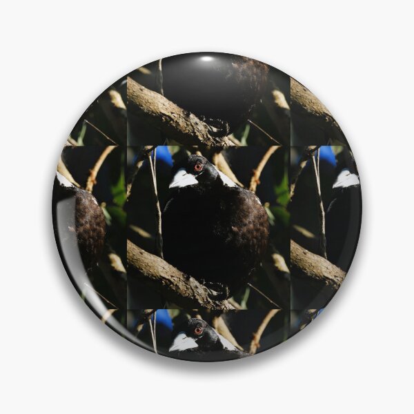 Item preview, Magpie keeps an eye on me... designed and sold by Bonzamate.