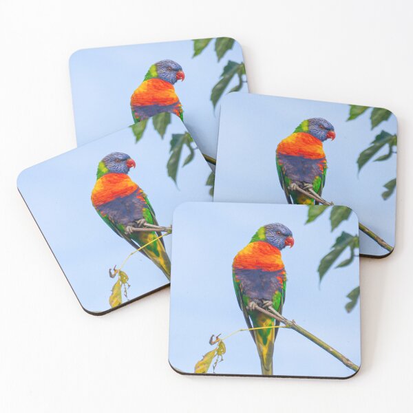 Item preview, Cheeky rainbow lorikeet designed and sold by Cornishinoz.