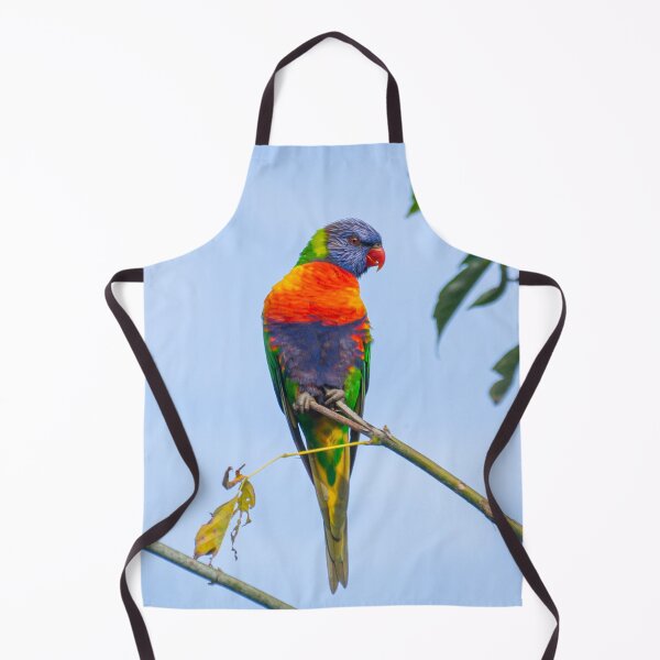 Item preview, Cheeky rainbow lorikeet designed and sold by Cornishinoz.