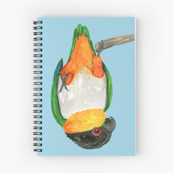 Item preview,  A blackheaded caique hanging upside down designed and sold by Bwiselizzy.