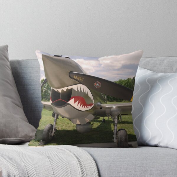 Artikelvorschau, Curtiss P-40 Warhawk entworfen und verkauft von Robert Burdick.