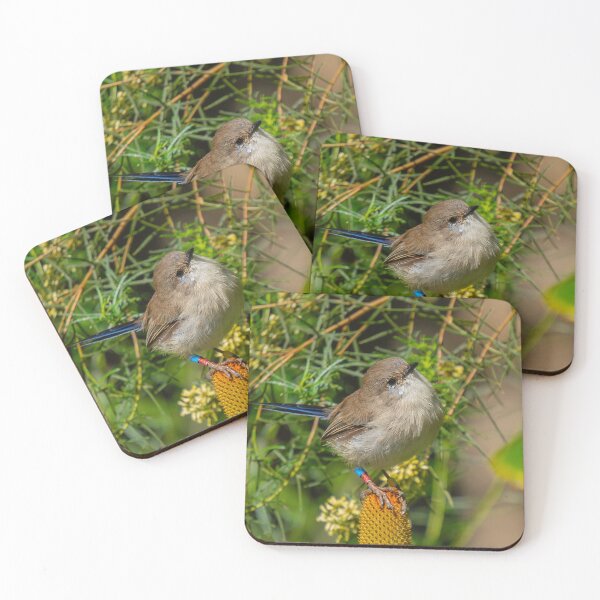 Item preview, Friendly fairy wren designed and sold by Cornishinoz.