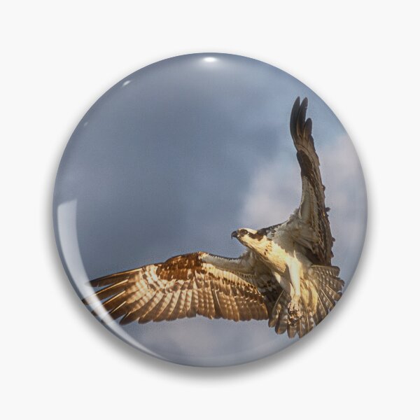 Item preview, Flying Osprey - Florida designed and sold by Kathy Weaver.