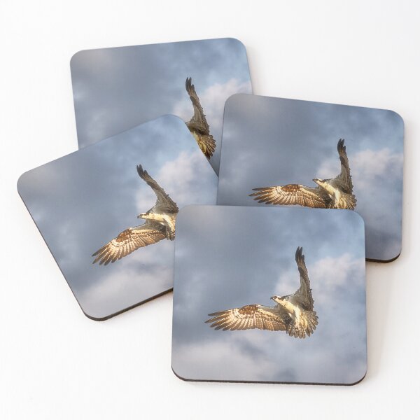 Item preview, Flying Osprey - Florida designed and sold by Kathy Weaver.