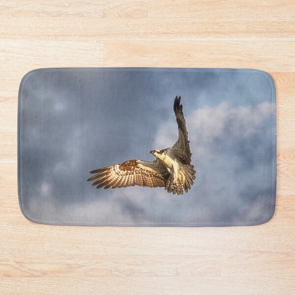 Item preview, Flying Osprey - Florida designed and sold by Kathy Weaver.