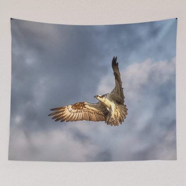 Item preview, Flying Osprey - Florida designed and sold by Kathy Weaver.