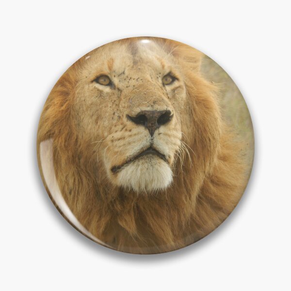 Item preview, Lion face designed and sold by nahfoolio.