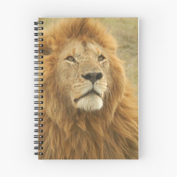 Item preview, Lion face designed and sold by nahfoolio.