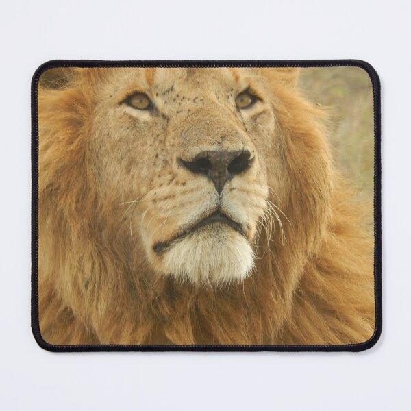 Item preview, Lion face designed and sold by nahfoolio.