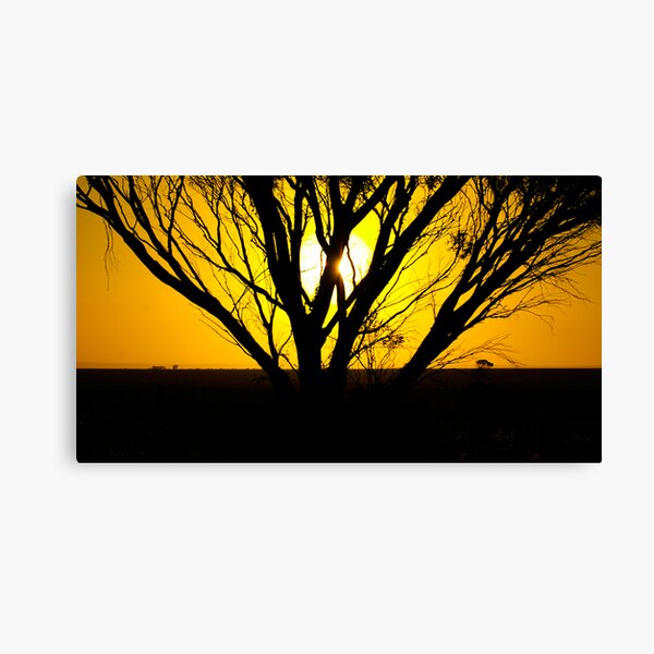 Sunset; Port Wakefield, South Australia Canvas Print