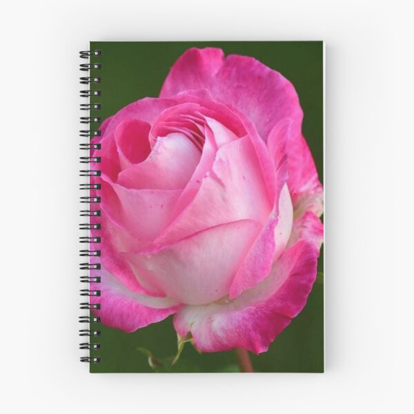 Item preview, Enjoy relaxing with the beautiful pink color flower. designed and sold by Relaxation  Time.