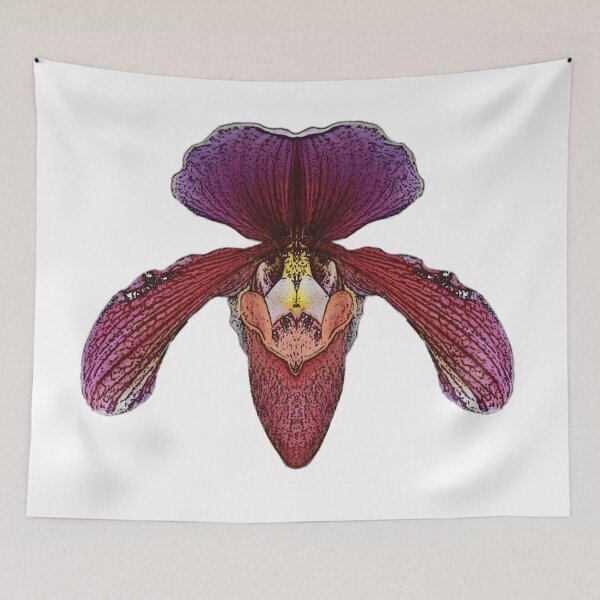 Item preview, large lady's slipper orchid, most beautiful flowers for women designed and sold by Kirei-Lily.