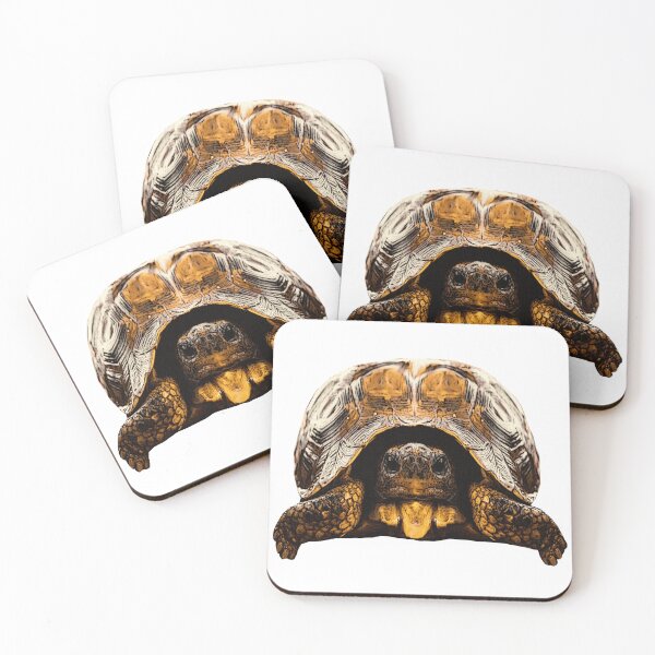 Item preview, cute reptile photo, tortoises, great turtoise motifs designed and sold by Kirei-Lily.