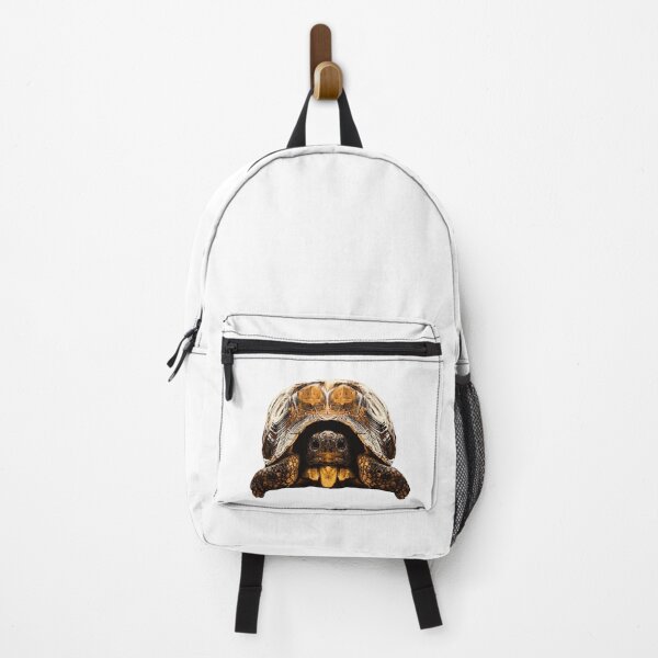 Item preview, cute reptile photo, tortoises, great turtoise motifs designed and sold by Kirei-Lily.