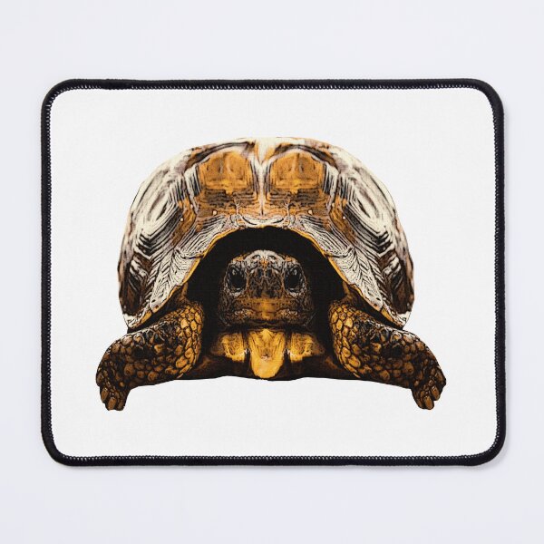 Item preview, cute reptile photo, tortoises, great turtoise motifs designed and sold by Kirei-Lily.