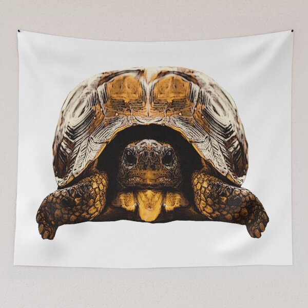 Item preview, cute reptile photo, tortoises, great turtoise motifs designed and sold by Kirei-Lily.