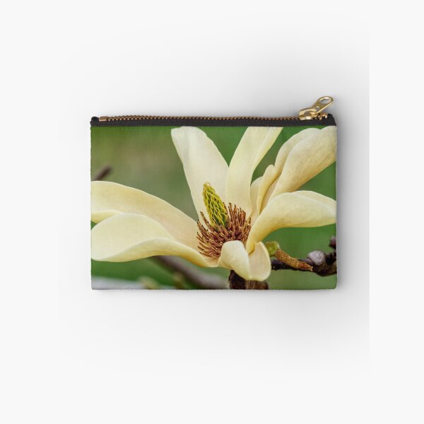 Item preview, Yellow Magnolia Blossom designed and sold by mljdwhite.