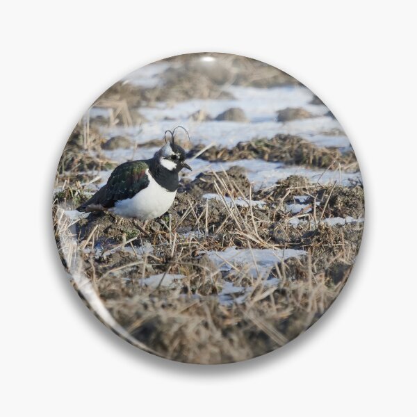 Item preview, Springfileds here we come. Northern lapwing designed and sold by Jouko Lehto Photography.