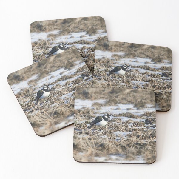 Item preview, Springfileds here we come. Northern lapwing designed and sold by Jouko Lehto Photography.