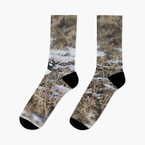 Item preview, Springfileds here we come. Northern lapwing designed and sold by Jouko Lehto Photography.