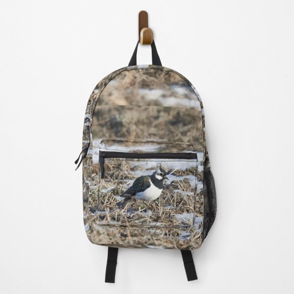 Item preview, Springfileds here we come. Northern lapwing designed and sold by Jouko Lehto Photography.