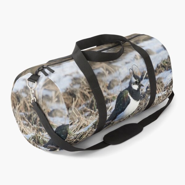 Item preview, Springfileds here we come. Northern lapwing designed and sold by Jouko Lehto Photography.