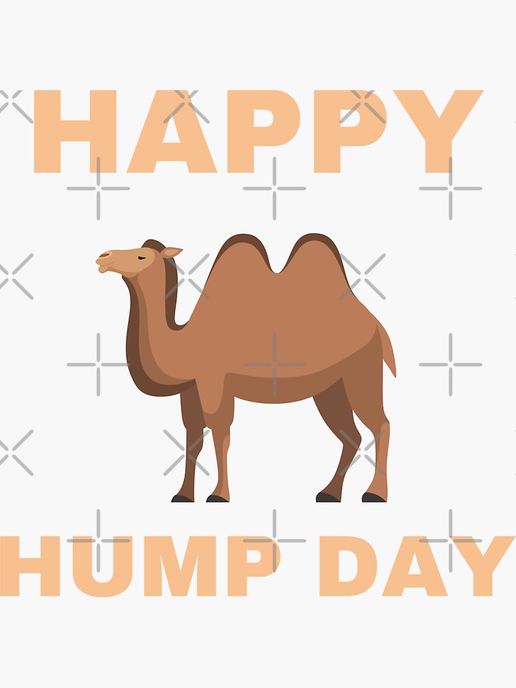 Hump Day Cartoon Camel' Sticker