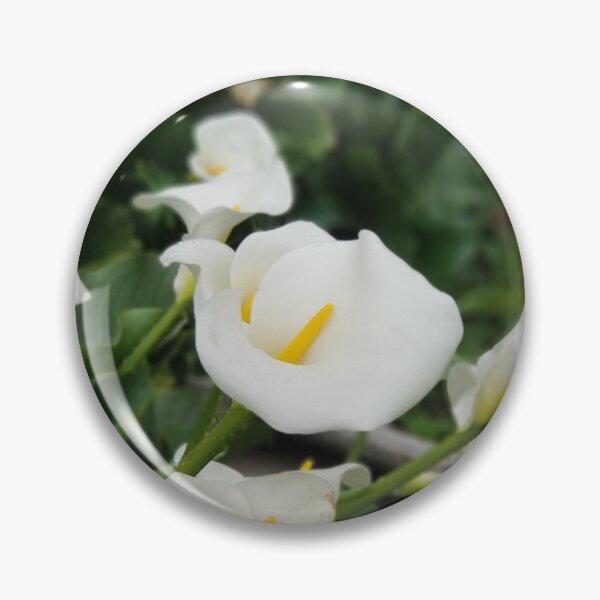 Item preview, Oh my Lilly, Sweet Lilly designed and sold by CreativeDame.