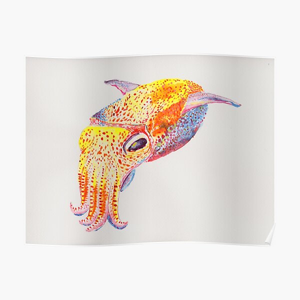 Download Wandkunst fuer strandhaus For iPhone Free