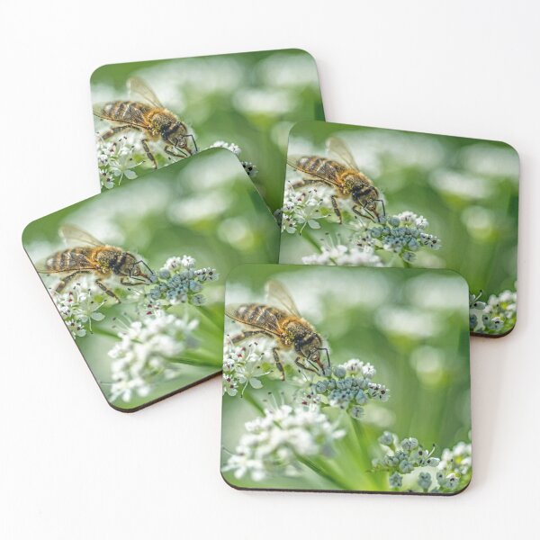 Item preview, Bee collecting Pollen Newport Wetland Centre designed and sold by Cameranick.