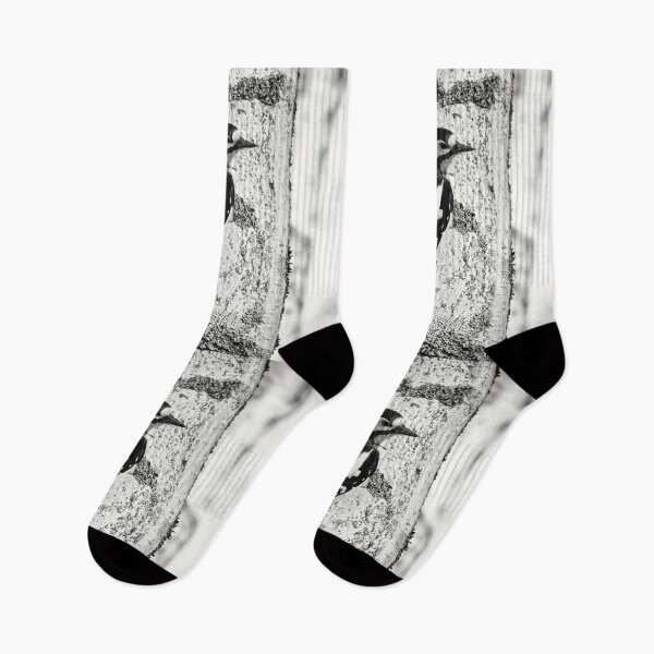 Item preview, To be or not to be. Great spotted woodpecker bw designed and sold by Jouko Lehto Photography.